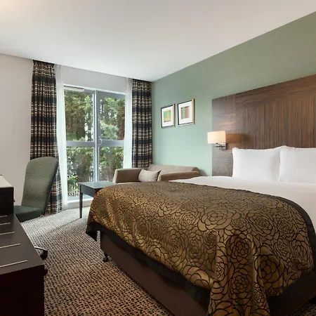 Birmingham Airport - Nec By Ihg Hotel Bickenhill